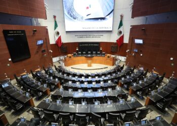 Conoce a las y los candidatos de Guanajuato al Senado de la República 2024