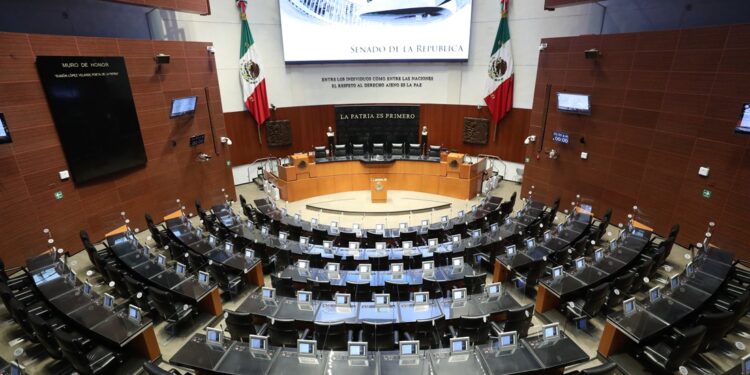 Conoce a las y los candidatos de Guanajuato al Senado de la República 2024
