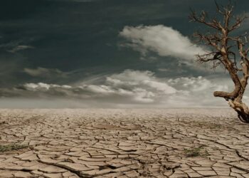 Congreso de Guanajuato aprueba reformas a la Ley de Cambio Climático; ¿qué contempla?