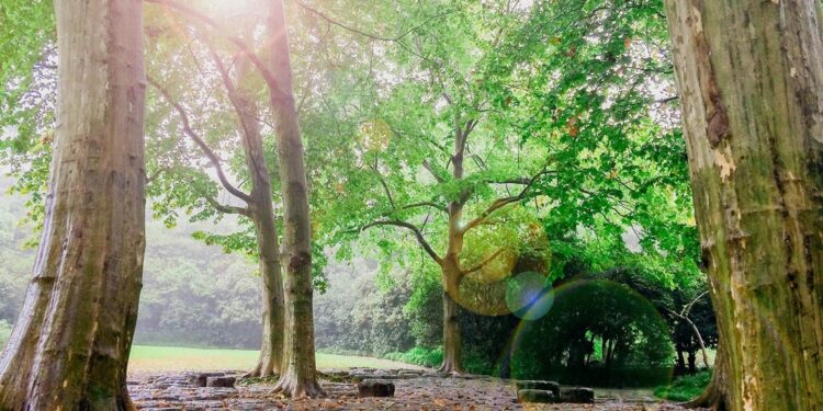 ¿Te interesa ser guardaparques? Gobierno de León lanza convocatoria