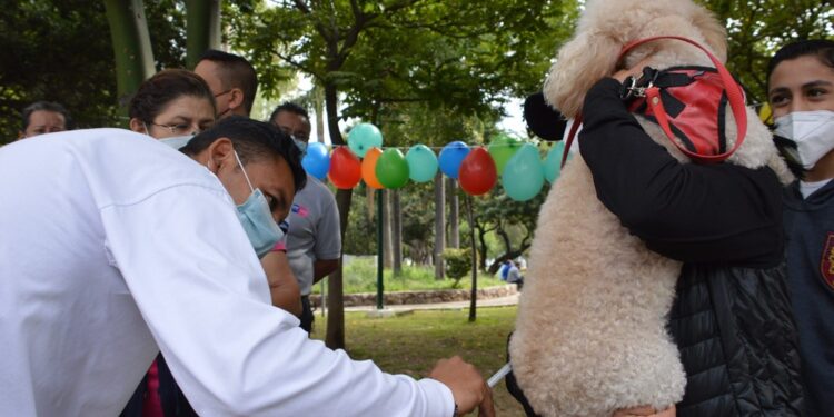 Congreso de Guanajuato aprueba reformas a la Ley de Cambio Climático; ¿qué contempla?