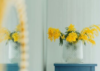 ¿En qué consiste la campaña “Cero agua en floreros” implementada en Silao?