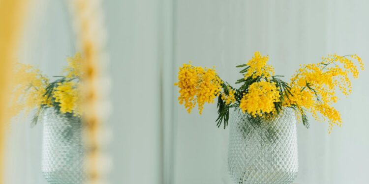 ¿En qué consiste la campaña “Cero agua en floreros” implementada en Silao?