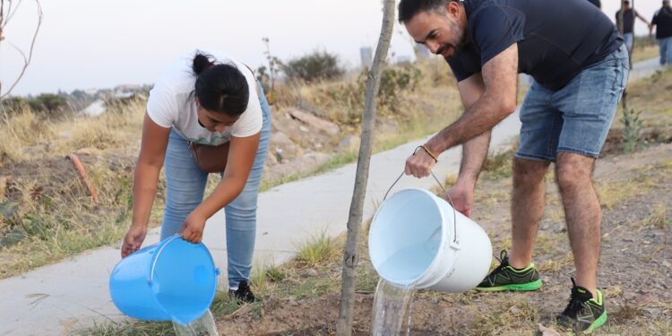 Infractores viales de León conmutan multas por servicio comunitario