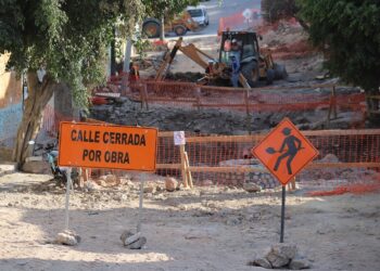 ¿Solicitaste la reimpresión de tu credencial para votar? Así puedes checar su estatus
