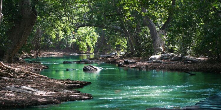 ¡Toma nota! Recomendaciones para evitar accidentes y disfrutar de la temporada vacacional