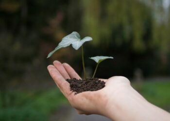 Hacen alianza la SMAOT y FUNAM; ¿qué acciones realizarán?