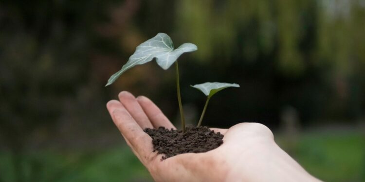 Hacen alianza la SMAOT y FUNAM; ¿qué acciones realizarán?