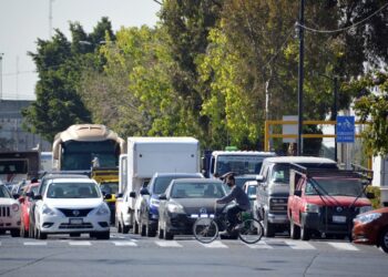 Hoy es el Día Mundial contra la Hepatitis; ¿cómo prevenir esta enfermedad?