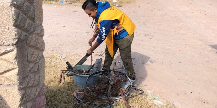 ¡Saca tus cacharros! Estas son las fechas y zonas de la campaña “Descacharrízate” en Romita