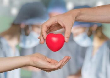 ¿Qué órganos o tejidos se pueden donar en vida?