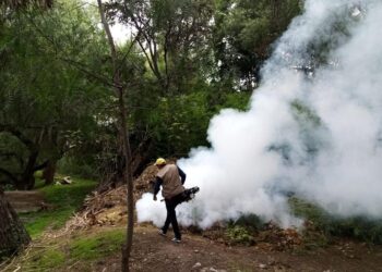 ¿Qué obras se realizaron en el Cristo Rey de la Montaña?