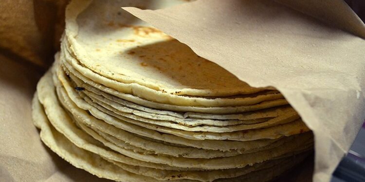 «Mi maíz, mi tortilla»: una opción de financiamiento para propietarios de tortillerías