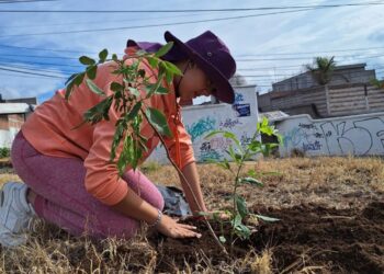¿Tienes entre 15 y 17 años? Aplícate la vacuna contra el tétanos