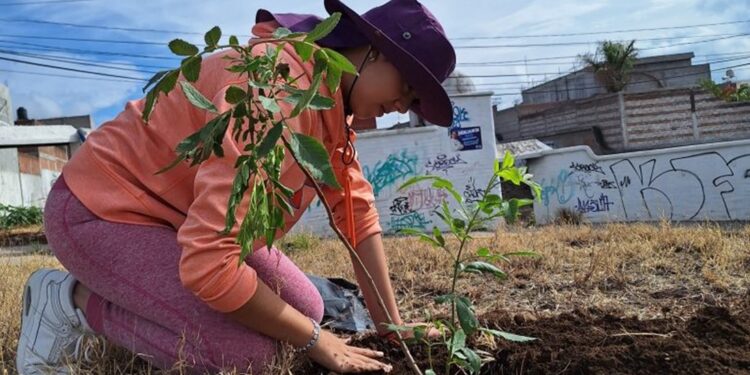 ¿Tienes entre 15 y 17 años? Aplícate la vacuna contra el tétanos