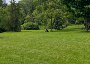 ¿Qué es la Estrategia de Infraestructura Verde de Guanajuato y qué acciones están en marcha?