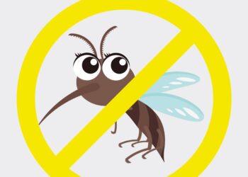 Participa en el concurso “Elimina el mosquito del dengue en Silao y Romita”