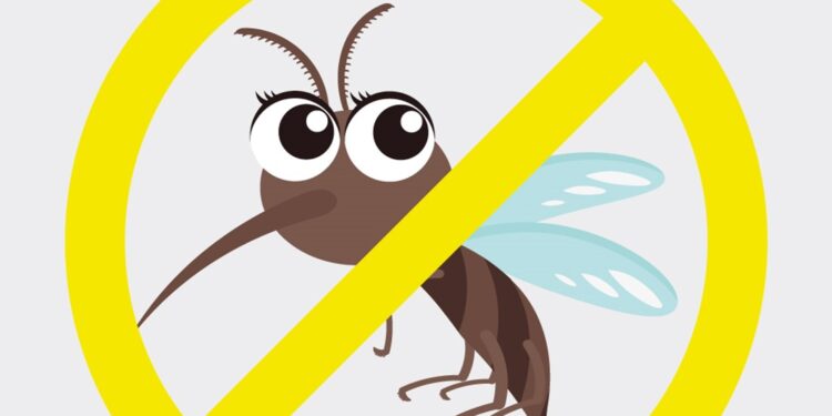 Participa en el concurso “Elimina el mosquito del dengue en Silao y Romita”