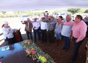 ¡Todavía estás a tiempo! Inscríbete a Prepa In y culmina tus estudios de Bachillerato sin costo