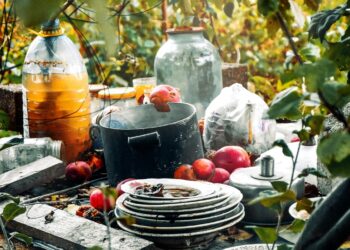 ¡Lleva tus cacharros! Harán nueva Jornada de Descacharrización en Guanajuato capital