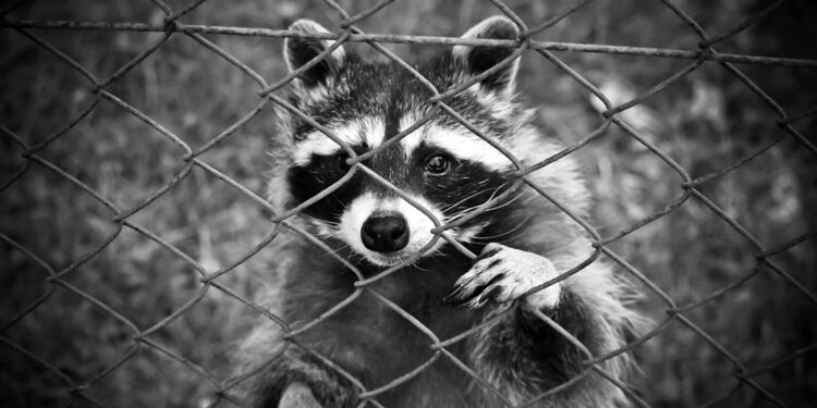 SEG organiza ponencias online sobre seguridad en Internet y redes sociales; estas son las fechas y horarios