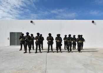 ¿En qué consiste el Proyecto Integral de Seguridad Pública de Salvatierra?