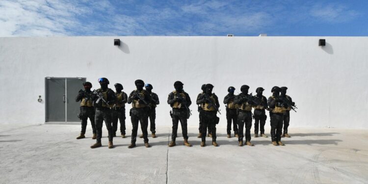 ¿En qué consiste el Proyecto Integral de Seguridad Pública de Salvatierra?