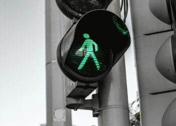 ¿En qué consiste el programa “Protocolo de Vida” del Gobierno de León?