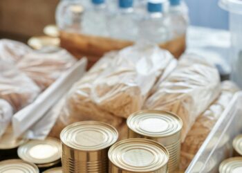 ¡Súmate! DIF Guanajuato invita a la colecta de víveres para familias damnificadas de Guerrero