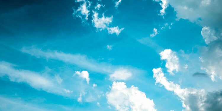 Inicia en Guanajuato el Programa Temporada Invernal 2024-2025; ¿cómo puedes contribuir?