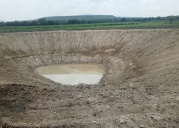 ¡Postula a tu atleta del año! Abren convocatoria del Premio Municipal del Deporte León 2024