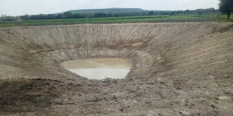 ¡Postula a tu atleta del año! Abren convocatoria del Premio Municipal del Deporte León 2024