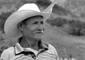 ¿Quieres ser delegado o subdelegado rural de León? Estos son los requisitos