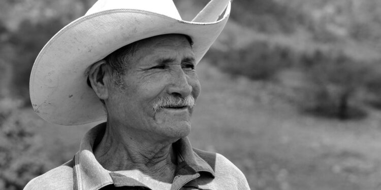 ¿Quieres ser delegado o subdelegado rural de León? Estos son los requisitos