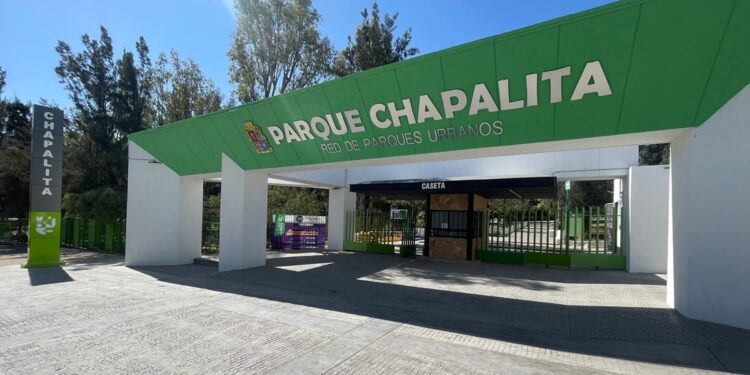 Anuncian actividades de descacharrización permanentes en Guanajuato; estas son las próximas fechas