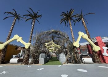 ¡Postula a tu atleta del año! Abren convocatoria del Premio Municipal del Deporte León 2024