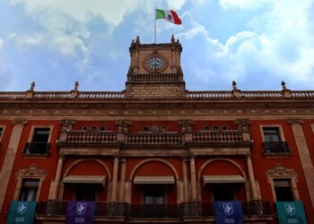 ¿Eres apicultor? Estos son los programas de apoyo del Gobierno del estado de Guanajuato