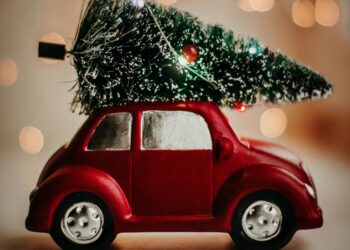 ¿A qué sitios de León puedes llevar tu árbol de Navidad para reciclaje?