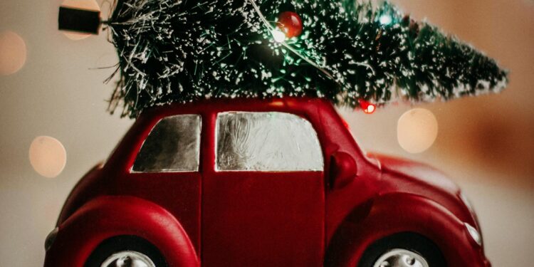 ¿A qué sitios de León puedes llevar tu árbol de Navidad para reciclaje?