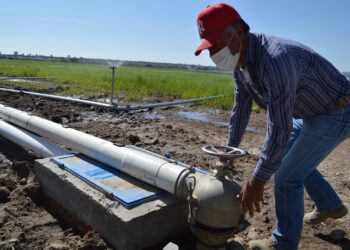 ¿Te dedicas al campo guanajuatense? Anuncian apoyos para tecnificar el riego