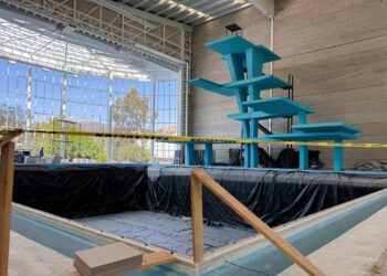 ¿Qué atribuciones tiene el Comité de Obra Pública de León?