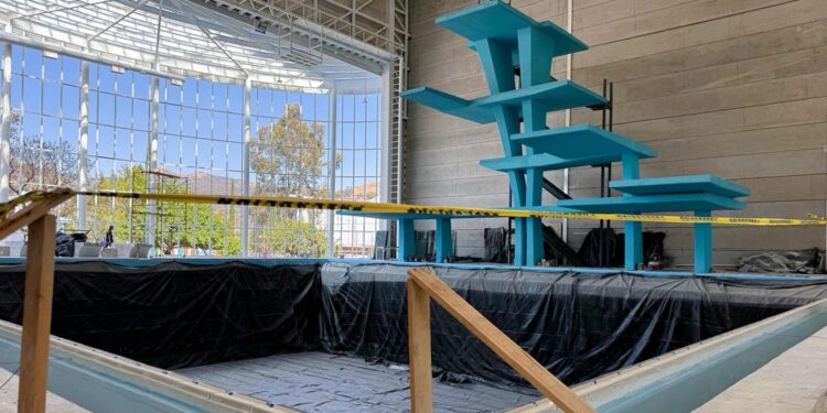 ¿Qué atribuciones tiene el Comité de Obra Pública de León?