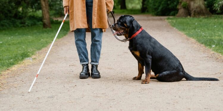 Amplían en Guanajuato conductas que implican discriminación; así se sanciona este delito