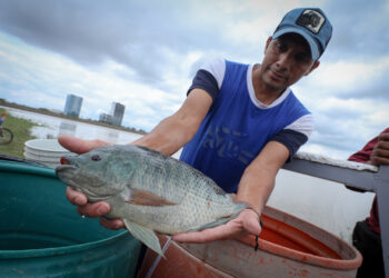 ¡Mas peces para El Palote!