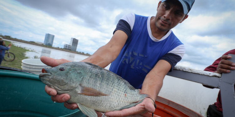 ¡Mas peces para El Palote!