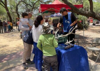 Así puedes solicitar para tu escuela los talleres Jóvenes Constructores de Paz y Abriendo Horizontes