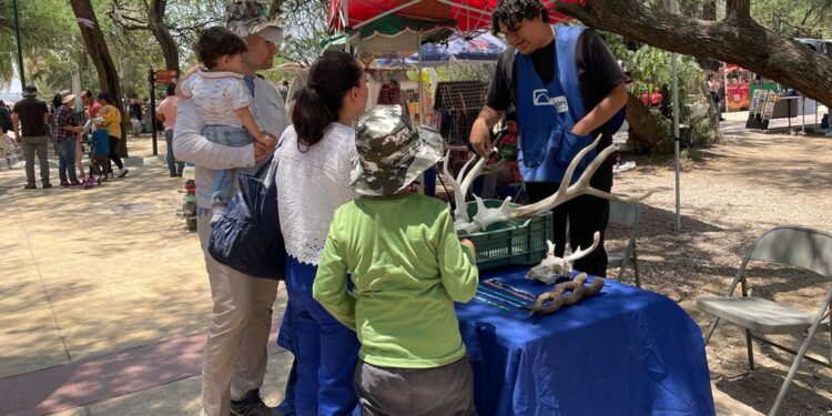 Así puedes solicitar para tu escuela los talleres Jóvenes Constructores de Paz y Abriendo Horizontes