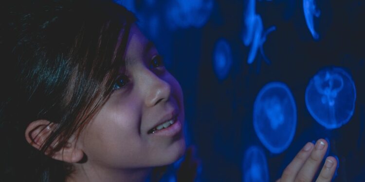 Estos son los talleres gratuitos que se impartirán en el Festival de Verano Vive León 2025