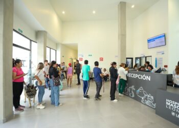 ¿Tienes cita en el Hospital de Mascotas León 450? Esto es lo que debes saber antes de ir
