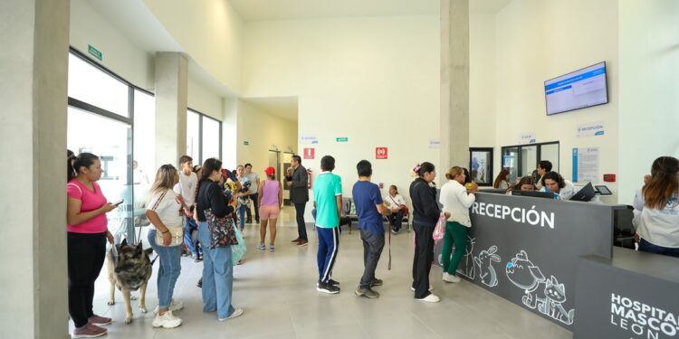 ¿Tienes cita en el Hospital de Mascotas León 450? Esto es lo que debes saber antes de ir